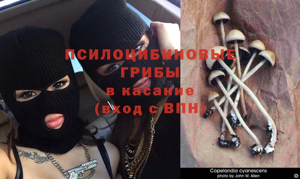 стафф Алексеевка
